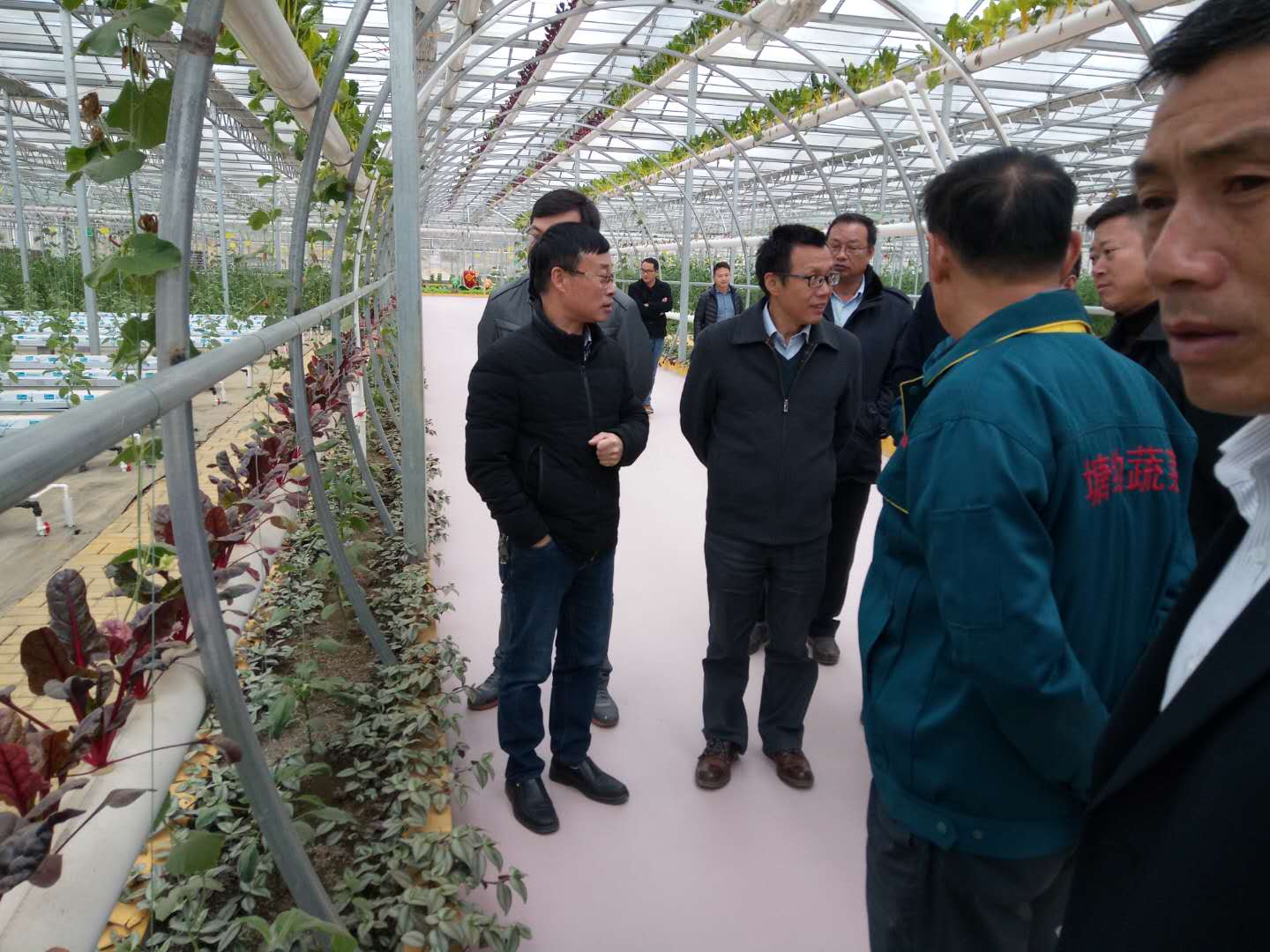 最新农业新闻_农业新闻_广西农业新闻