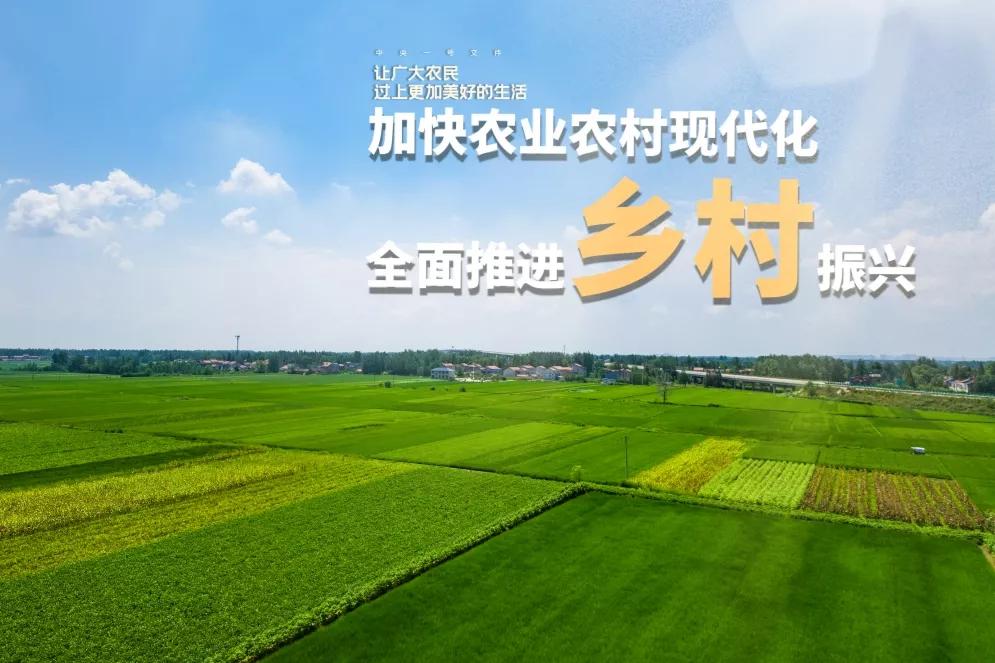 乡村振兴怎么做_乡村振兴生态振兴论文_乡村振兴五个振兴