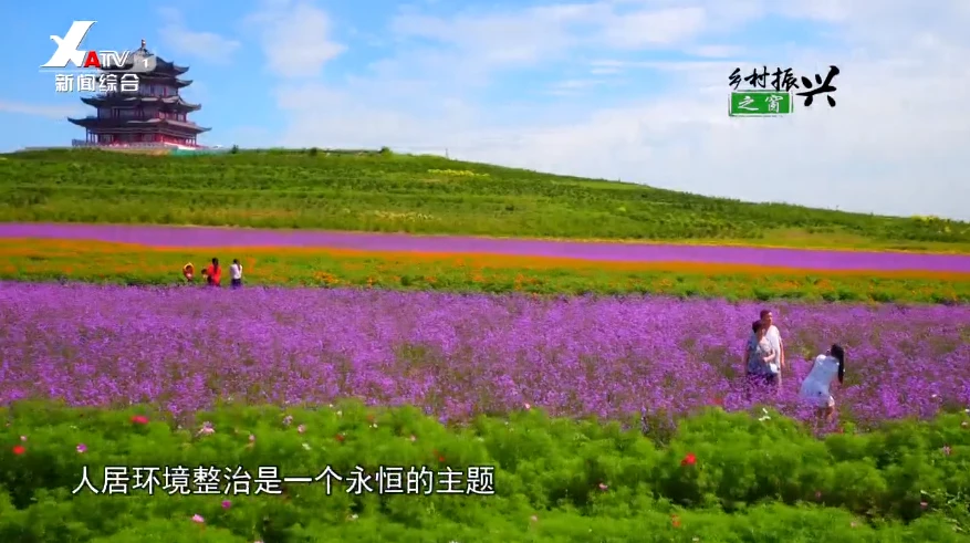 乡村报道 【乡村振兴之窗】新年专题报道：为乡村振兴擦亮最美的背景(11)