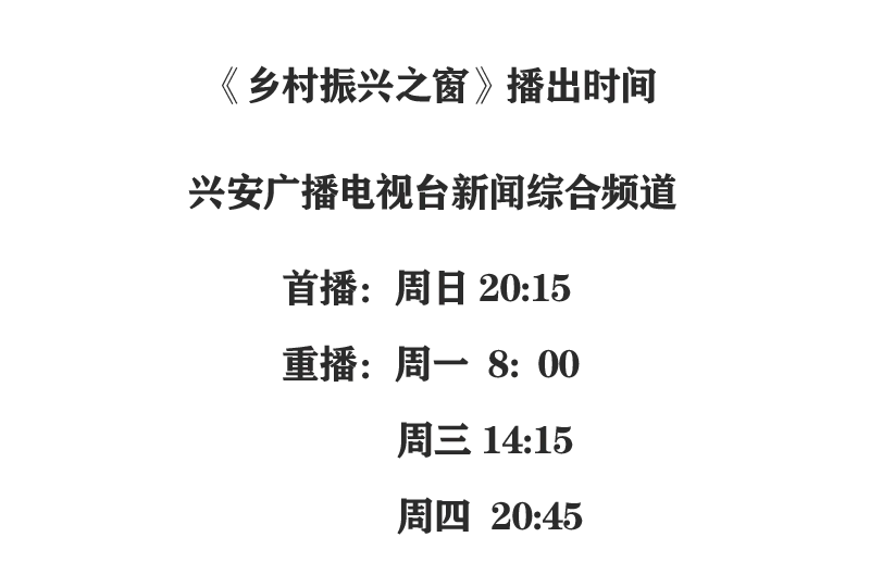乡村报道 【乡村振兴之窗】新年专题报道：为乡村振兴擦亮最美的背景(12)