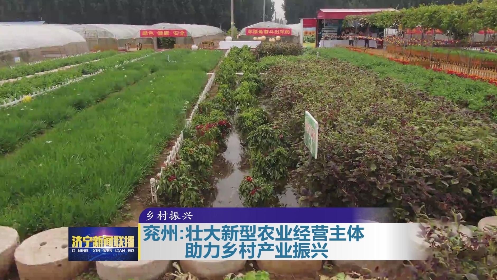 乡村振兴生态振兴论文_乡村振兴怎么做_乡村振兴产业振兴问卷