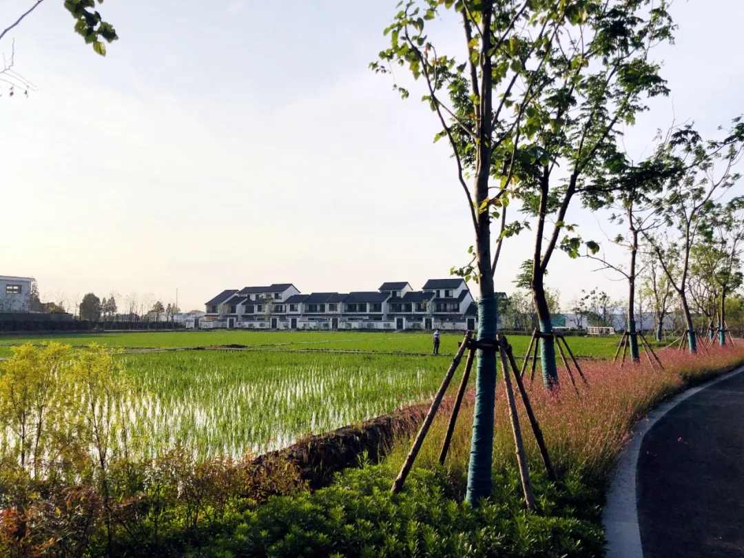 乡村振兴_建设美丽乡村大力发展乡村振兴战略_乡镇法治乡村乡村振兴方案