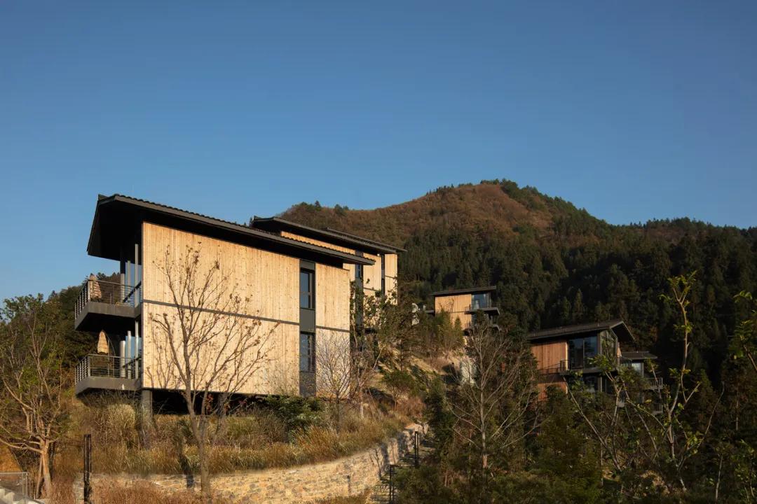外媒:行+新闻| 人民日报等媒体对主持建筑师孟凡浩及其乡村振兴工作进行了深入点评(11)