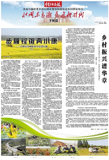 产业振兴是乡村振兴战略的_乡村振兴怎么做_建设美丽乡村大力发展乡村振兴战略