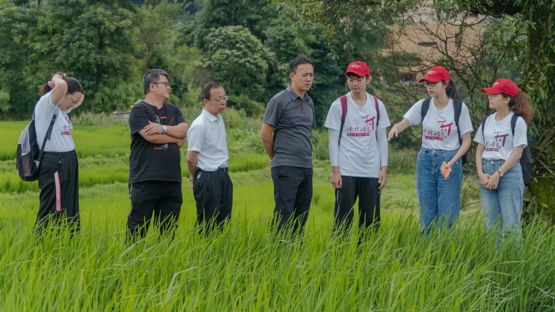 建设美丽乡村大力发展乡村振兴战略_乡村振兴怎么做_产业振兴是乡村振兴战略的