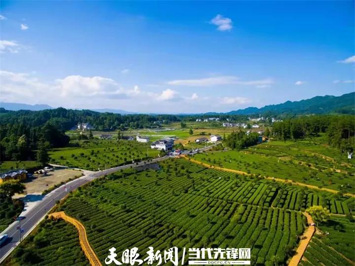 成功经验:推进乡村振兴！推广和学习湄潭的经验和做法(2)