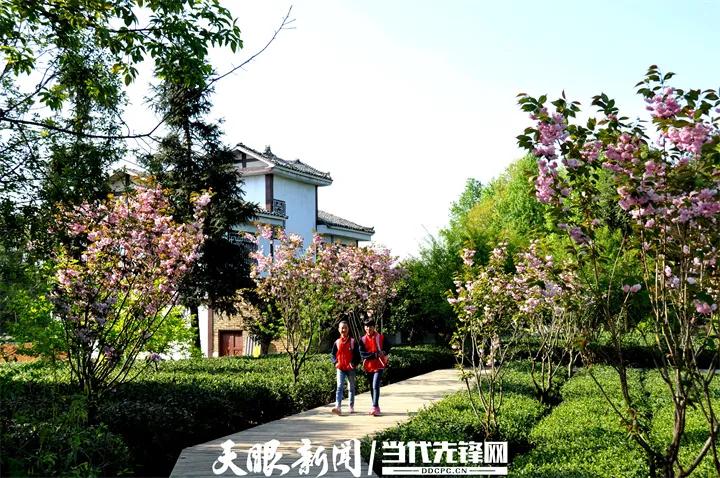 成功经验:推进乡村振兴！推广和学习湄潭的经验和做法(6)