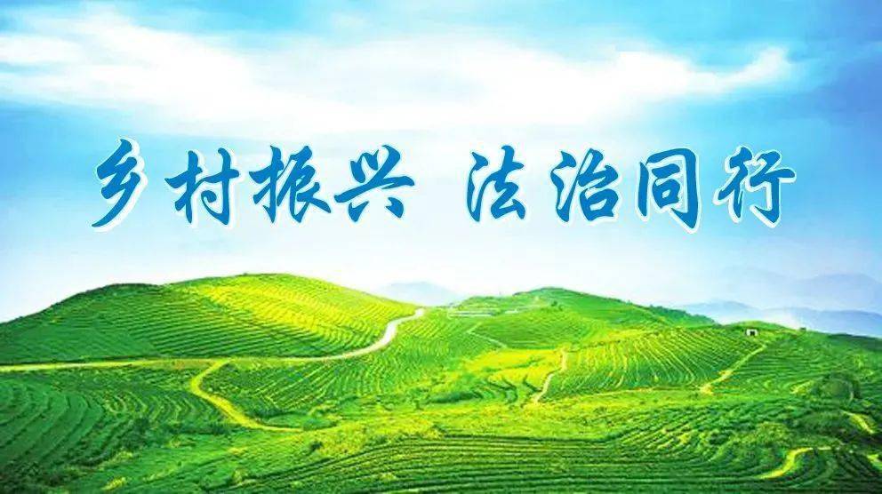 乡村兽医改革_乡村改革_2014年大部制改革和事业单位改革最新消息