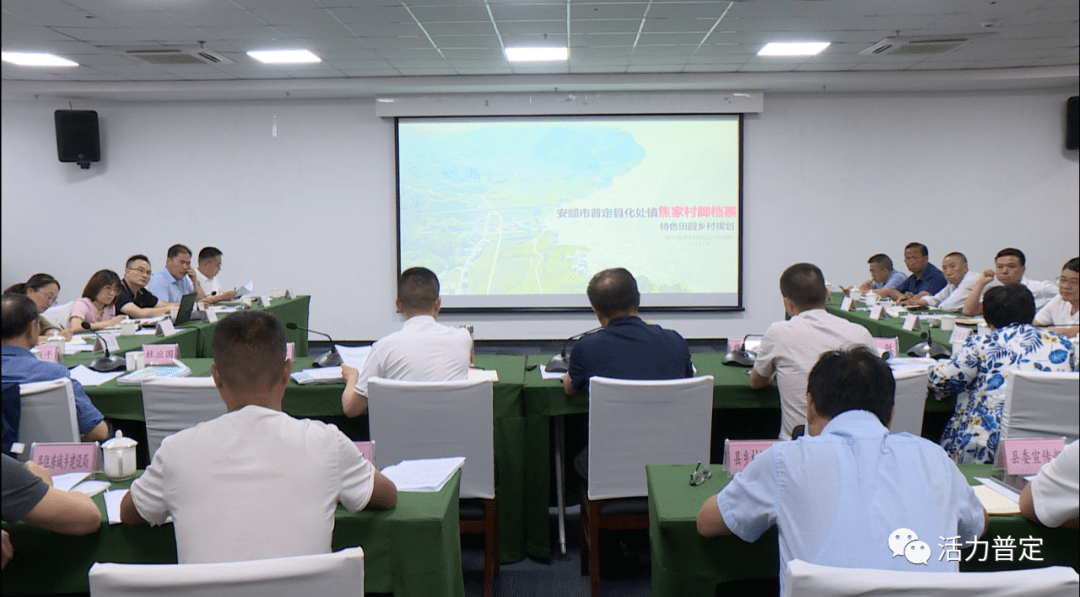 普定县召开省级特色乡村和乡村振兴一体化示范试点应用村“一个计划、两个计划”申请村评审会(3)