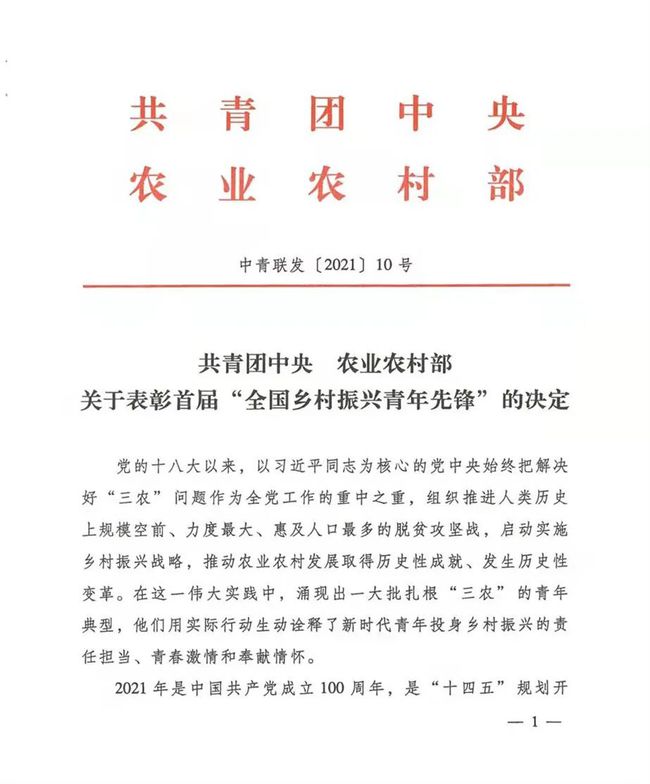 建设美丽乡村大力发展乡村振兴战略_美丽乡村建设 方案_乡村建设方案