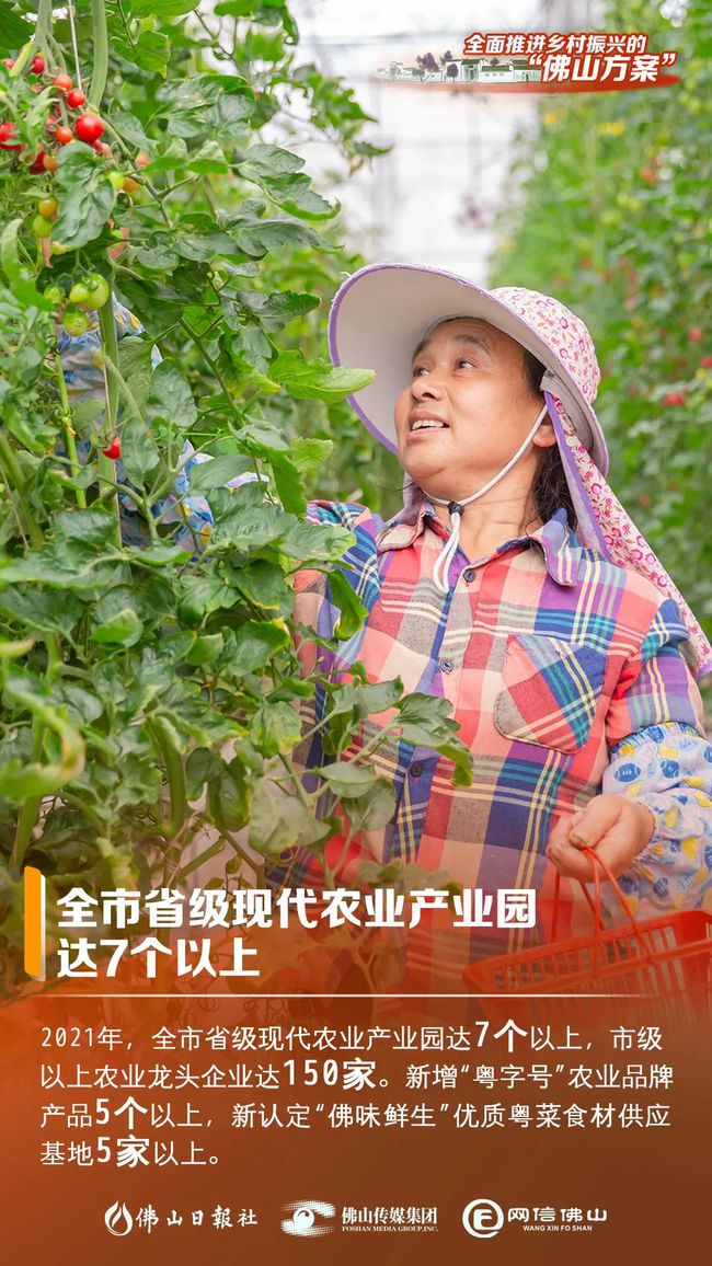美丽乡村建设活动方案_建设美丽乡村大力发展乡村振兴战略_乡村建设方案