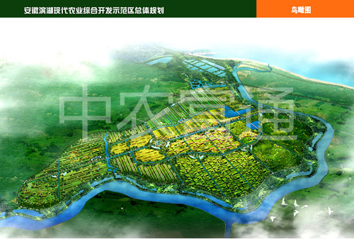 美丽乡村建设活动方案_建设美丽乡村大力发展乡村振兴战略_乡村建设方案