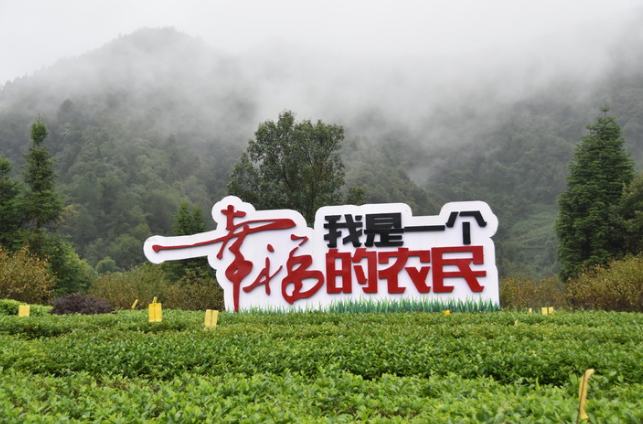 事实:湄潭农村改革“试验田”如何——以改革促乡村振兴的西部农业县为例
