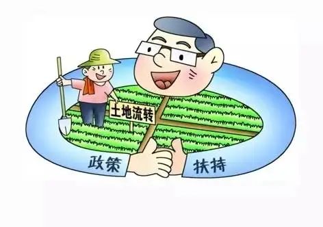 中国1978到1984年改革及改革理论研究_河北乡村卫生室改革_乡村改革