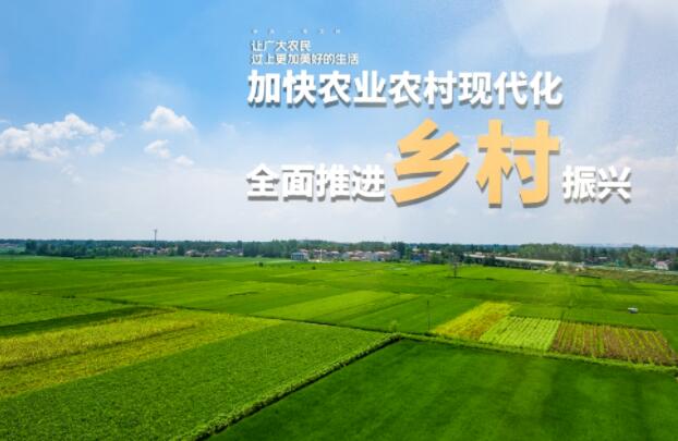 乡村振兴战略对乡村发展规划_乡村振兴怎么做_乡村文化是乡村振兴