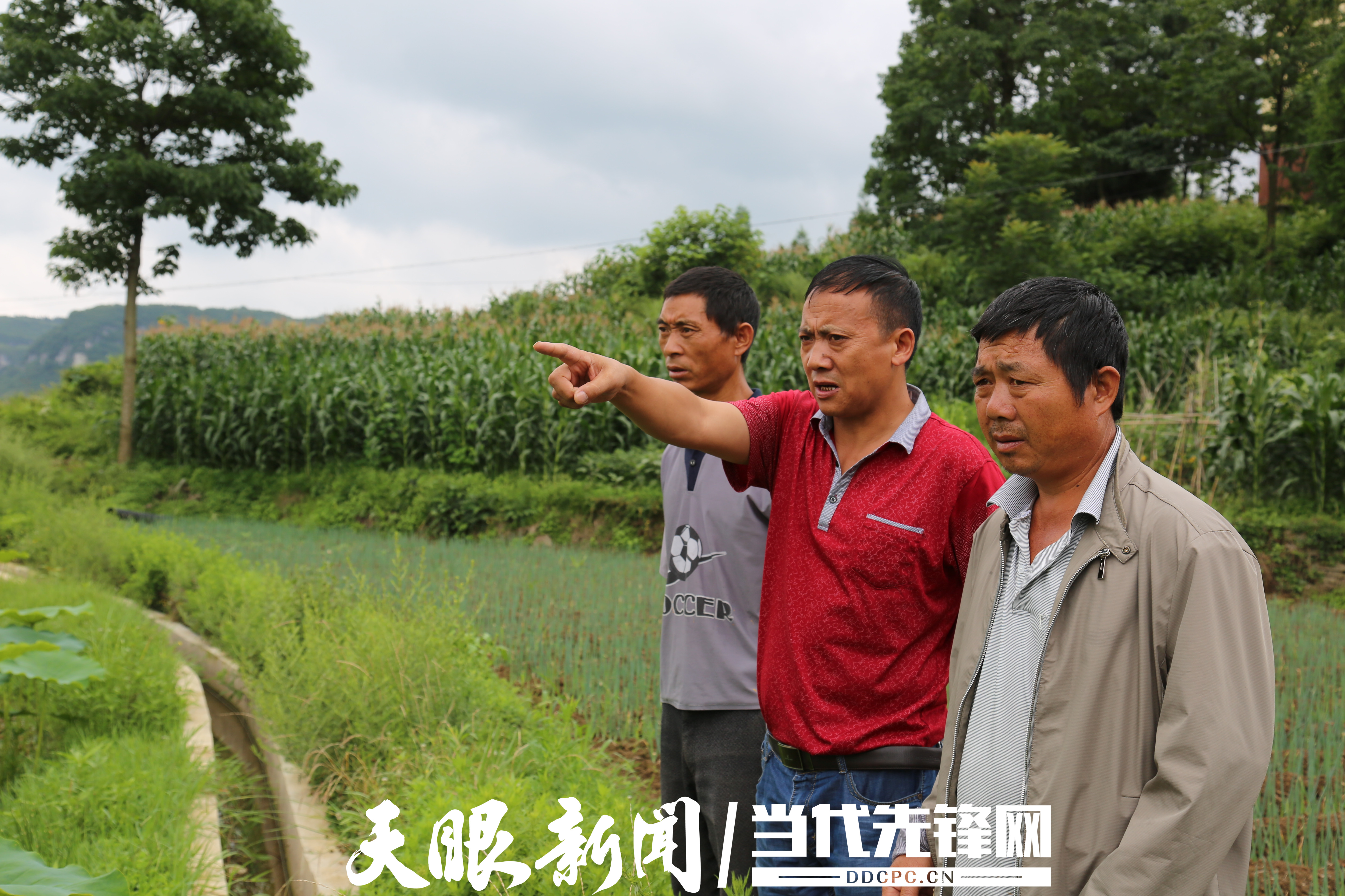 乡村振兴怎么做_乡村文化是乡村振兴_乡村振兴战略对乡村发展规划