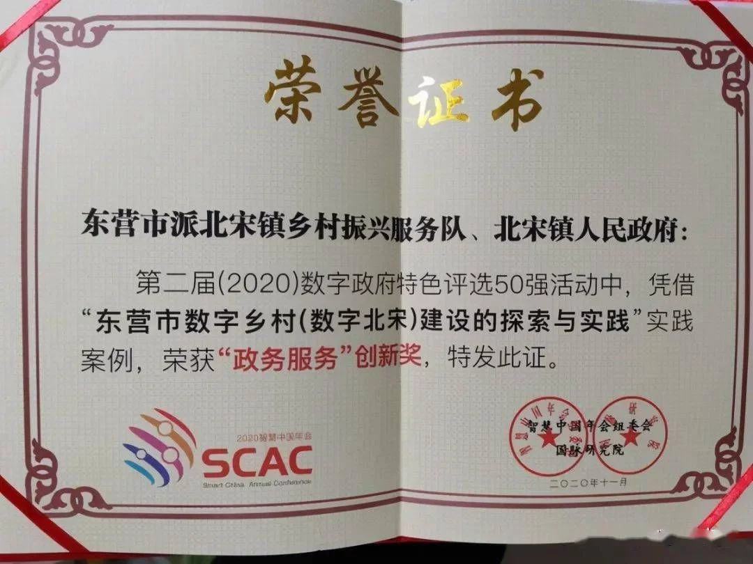 东营数字村（数字北宋）建设探索与实践荣获2020年第二届数字政府特色评选50强(2)