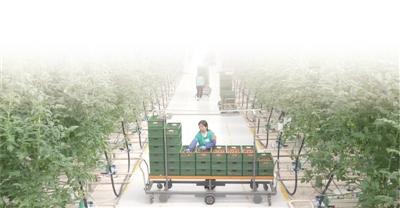 知识与经验:智慧农业助力春耕(3)