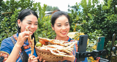 新标杆:互联网为乡村振兴增添活力(1)