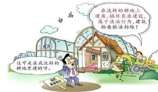 农村敬老院建设_农村新民居建设手续_新农村建设