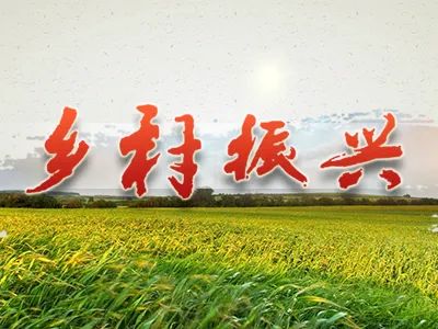 三变改革助推乡村振兴_油气改革 为何要改革_乡村改革