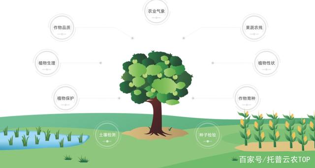 事实:顶云农，智慧农业“土生土长”，解决农业大数据“小”难题(7)
