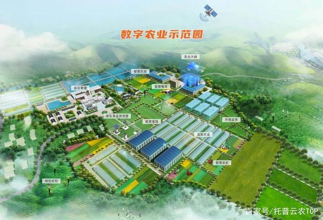 事实:顶云农，智慧农业“土生土长”，解决农业大数据“小”难题(8)