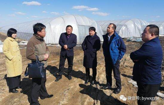 技术和经验:农业专家进驻哈尔滨市巴彦县培训大棚种植技术(3)