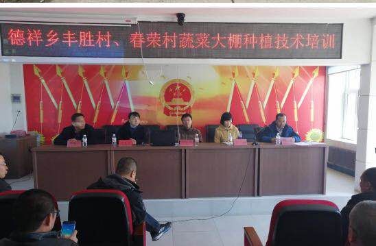 技术和经验:农业专家进驻哈尔滨市巴彦县培训大棚种植技术(5)