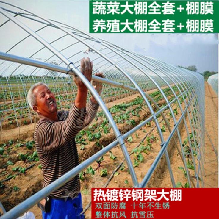 宠物兔养殖知识_种养殖知识_牛养殖知识