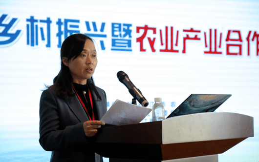 乡村大数据_大数据激活女人经济 36大数据_大数据与人工智能的大数据下