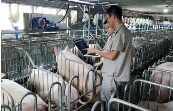 解决方案:中央连续18年关注的智慧农业，安全机遇何在？(4)