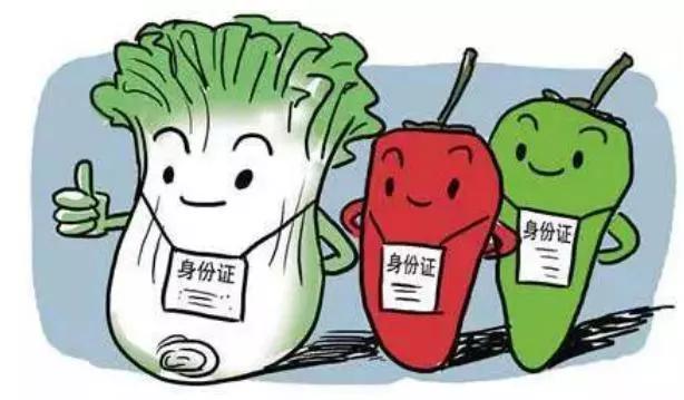 农业大数据如何加速乡村振兴(7)