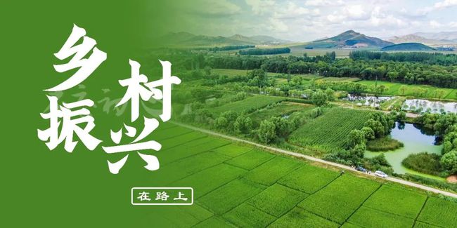 多举措 美丽乡村建设_乡村建设怎么做_乡村建设理论pdf