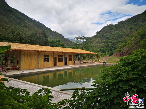 云南楚雄：写好乡村旅游文章，打造乡村振兴新引擎(3)
