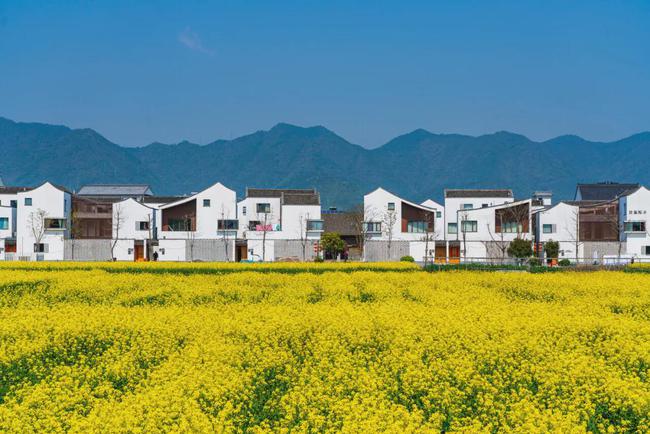 乡村解决方案_人社局解决办事效率低下的方案_移动公司解决酒店员工工作手机方案