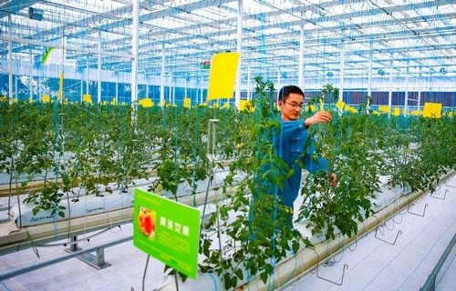 移动公司解决酒店员工工作手机方案_人社局解决办事效率低下的方案_乡村解决方案