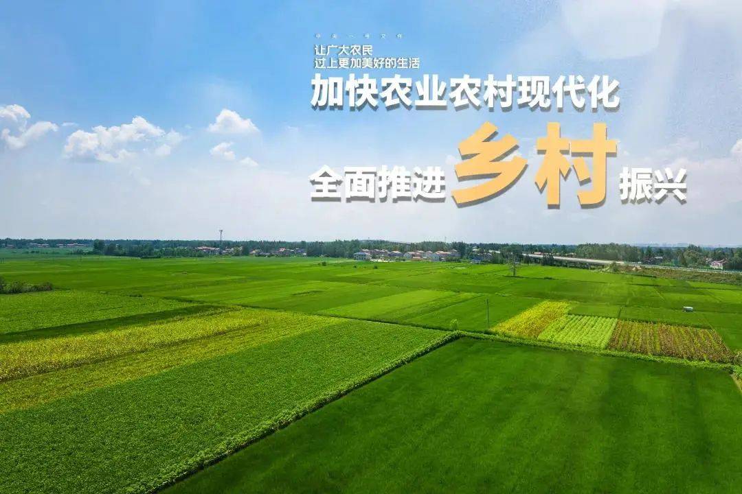 独特体验:乡村旅游蓬勃发展——游客选择更多村民增加收入和道路宽度