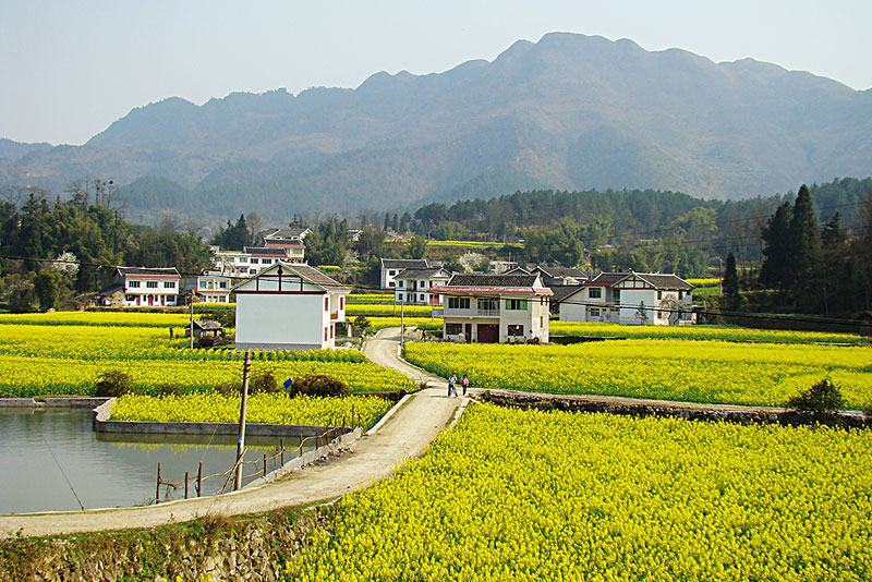 乡村旅游_乡村体验式旅游1000字_乡村农业和旅游结合