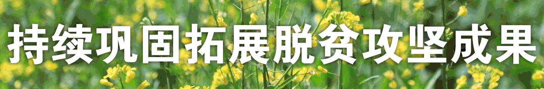 /uploads/allimg/20220210/1644472689239_0.webp