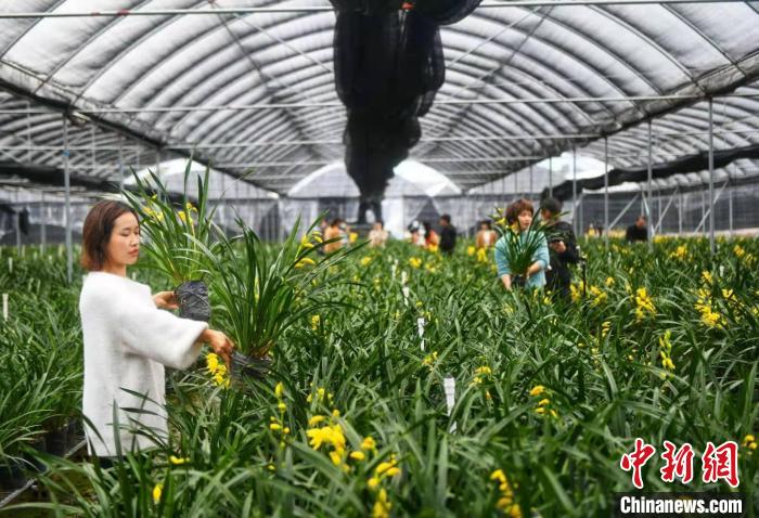 社会资源图像系统整合解决技术方案_甘肃解决代课教师方案_乡村解决方案