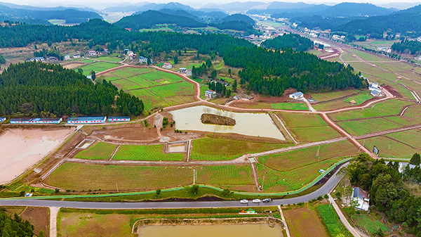 乡村振兴五大振兴报纸报道_深度报道典型报道案例_乡村报道