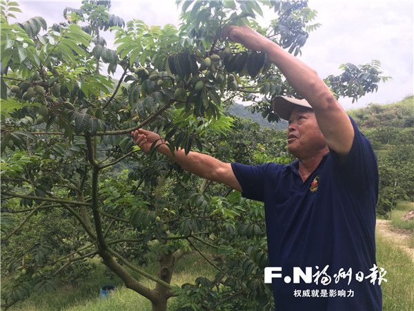 媒体评安庆殡葬改革没有一种改革以逼死人为代价_乡村改革_河北乡村卫生室改革
