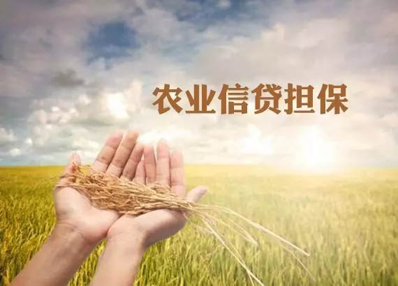 武强农业新闻_农业新闻最新 新闻_最新农业新闻
