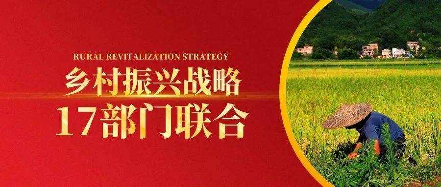 经济半小时乡村新改革_乡村改革_乡村兽医改革
