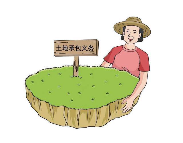 中央改革 油气改革_乡村改革_经济半小时乡村新改革