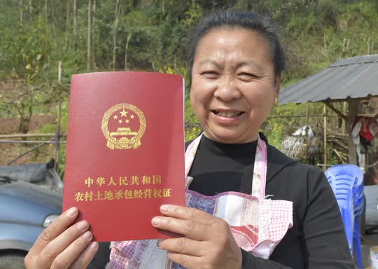 乡村改革_经济半小时乡村新改革_中央改革 油气改革