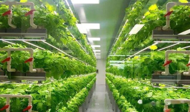 农业大数据_大数据 大数据_大数据与大数据资产