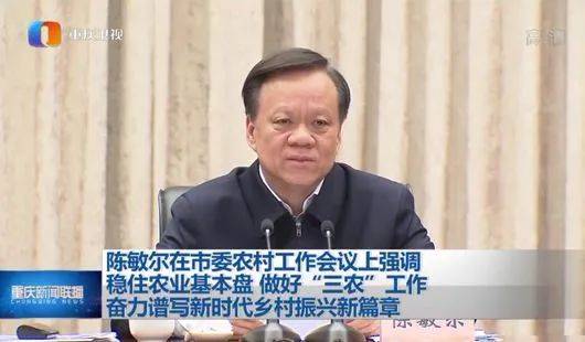 工作总结:新年伊始，重庆市委书记陈敏儿就这样规划“三农”工作(2)
