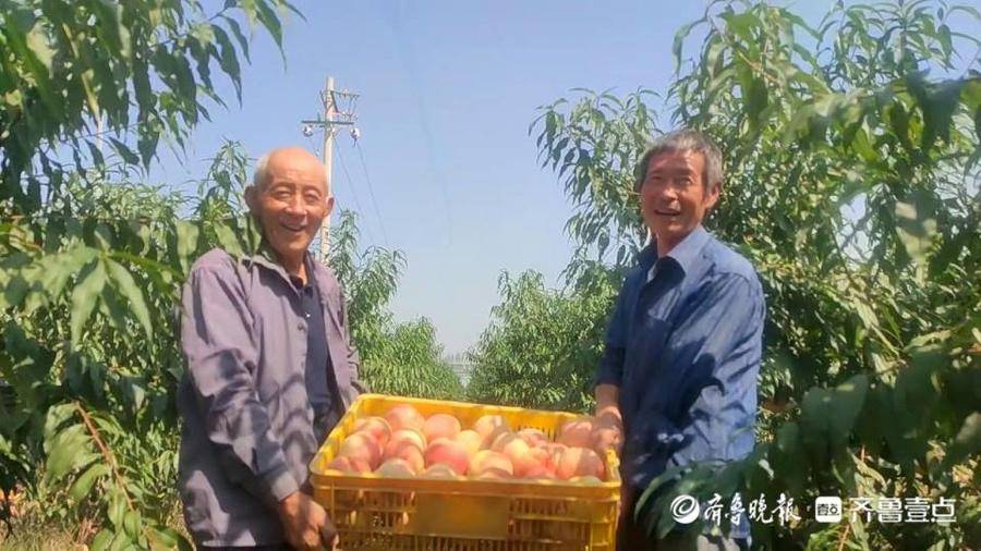 从穷乡僻壤到世外桃源，聊城这个村跑出乡村振兴加速度
